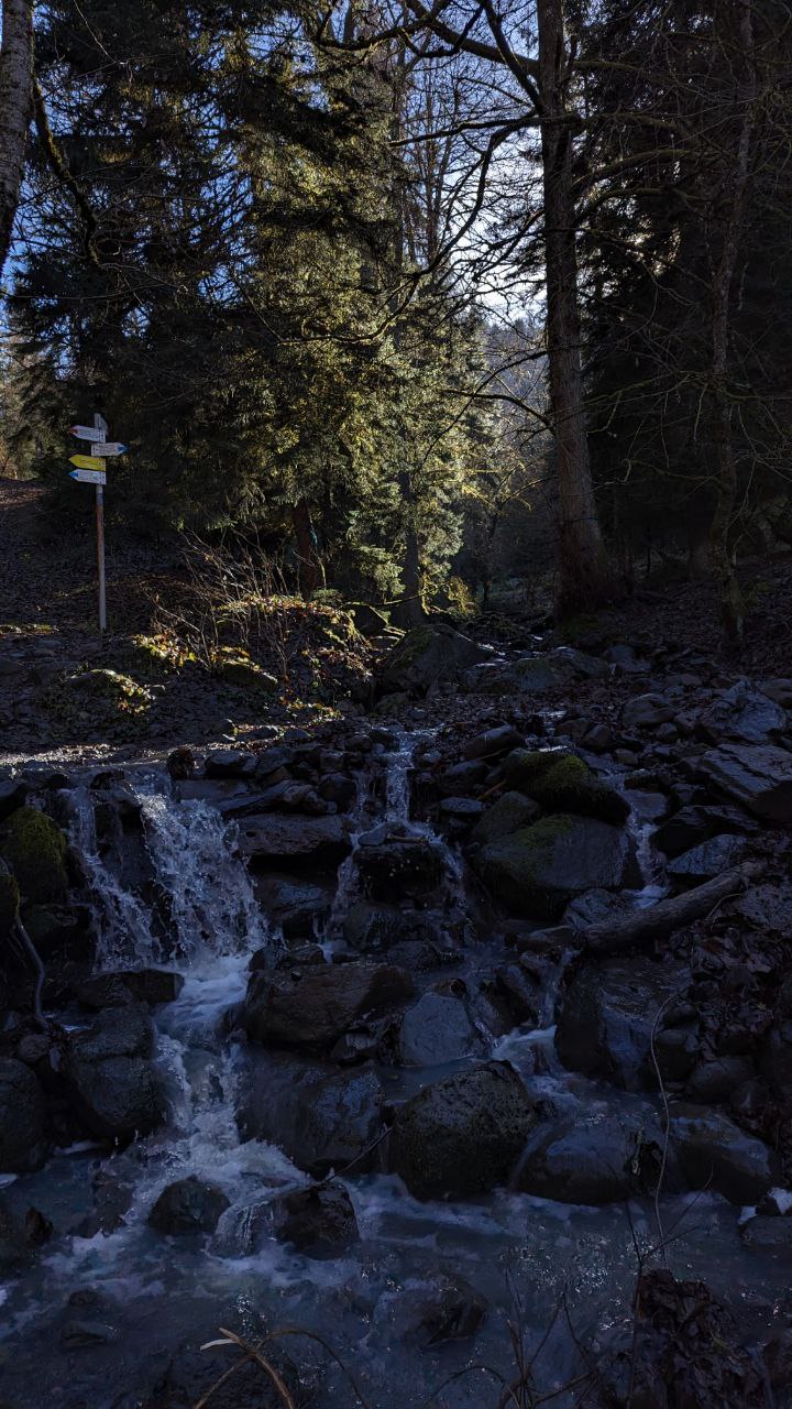 Сванские башни