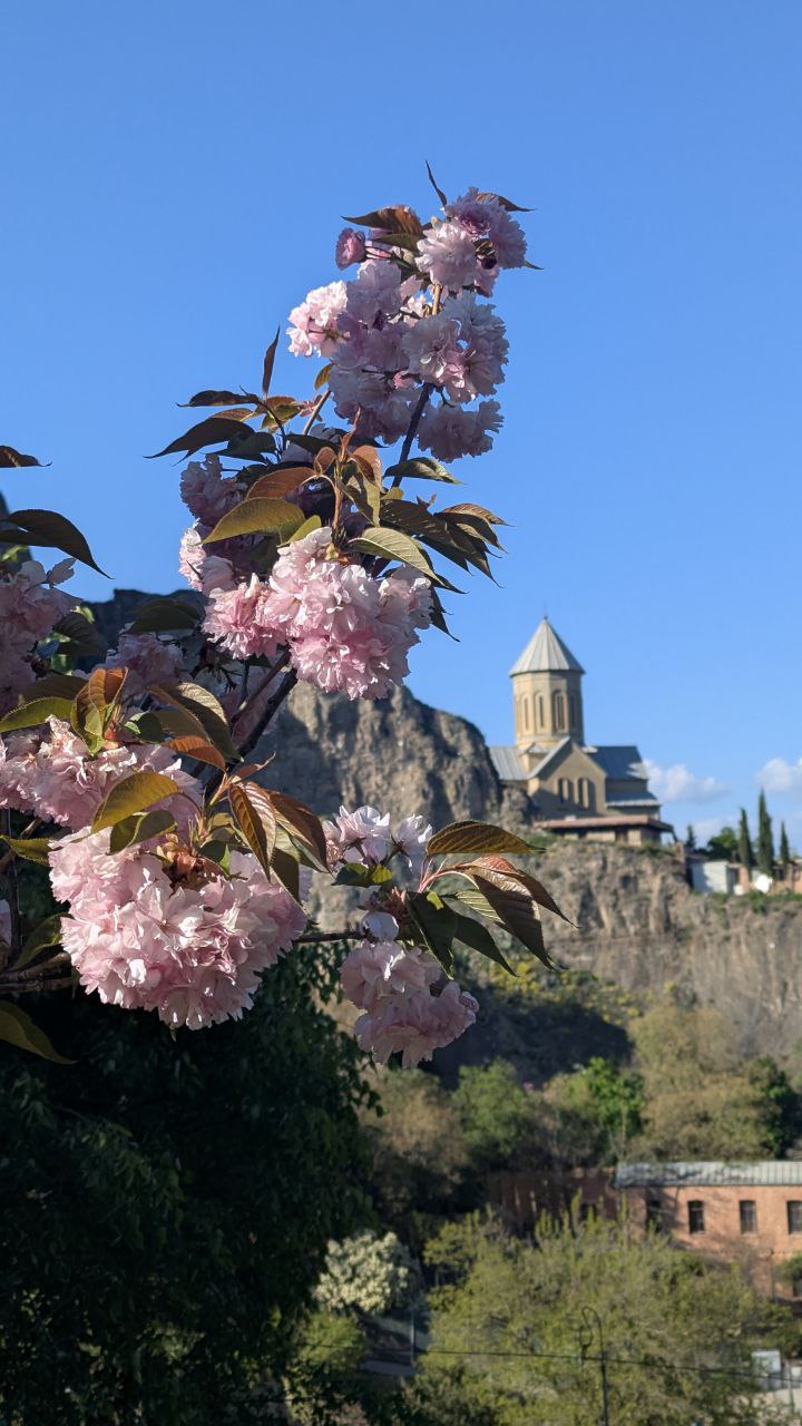 Монастырь Джвари