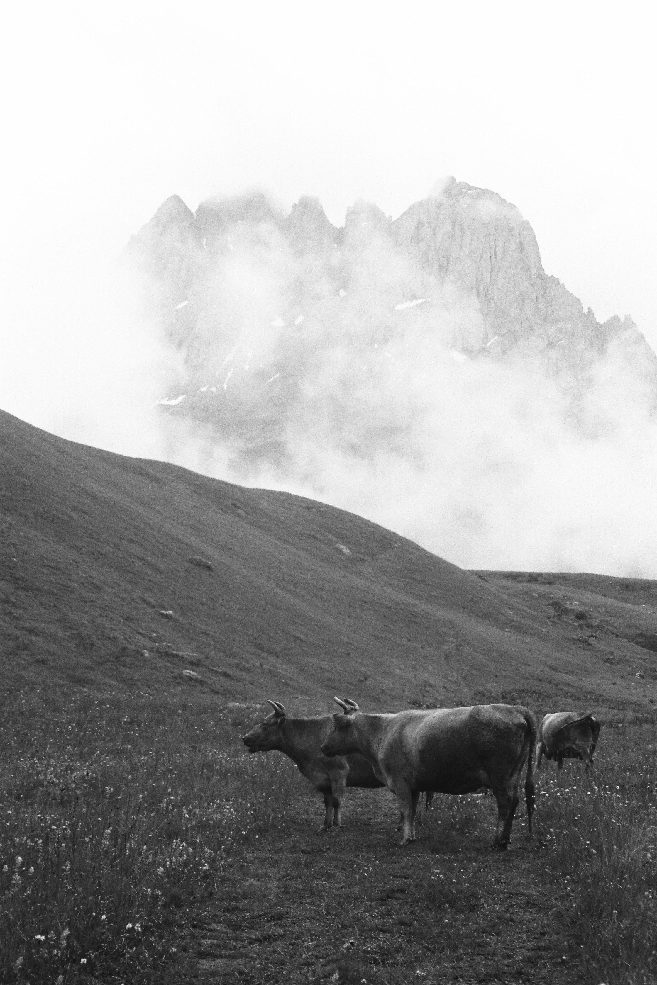 Пещерный город Уплисцихе