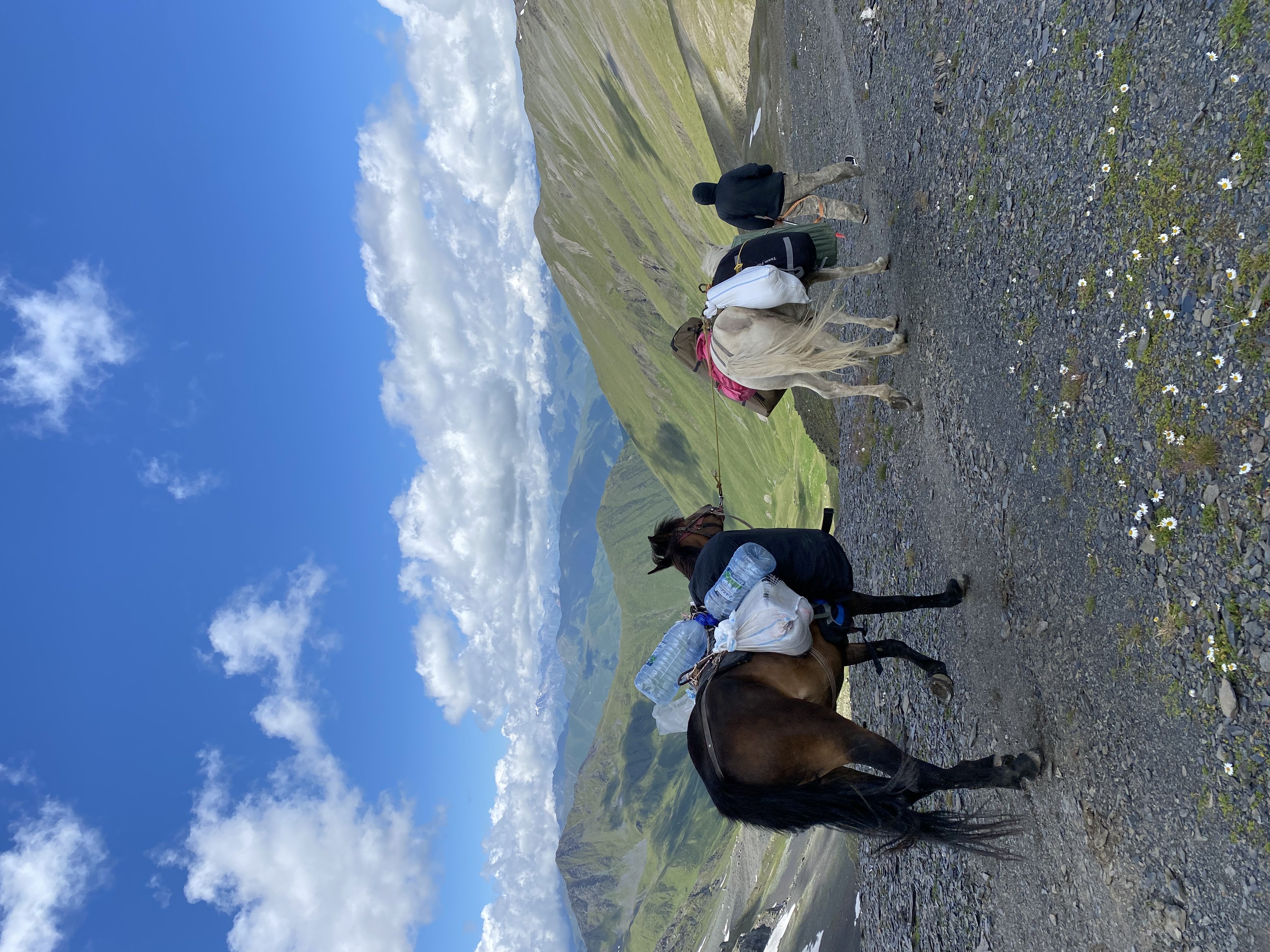 Черепичные крыши Сигнахи